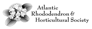Atlantic Rhododendron & Horticultural Society